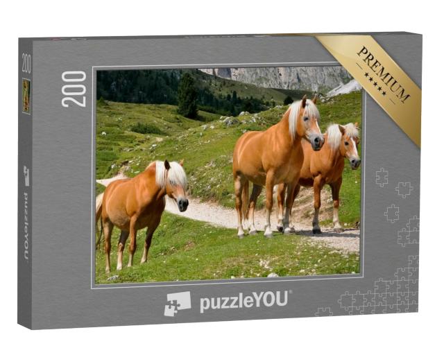 Puzzle 200 Teile „Drei Haflingerpferde auf einer Alm in Südtirol, Italien“