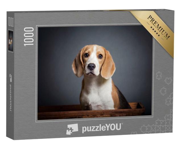 Puzzle 1000 Teile „Porträt eines Beagle-Welpen“