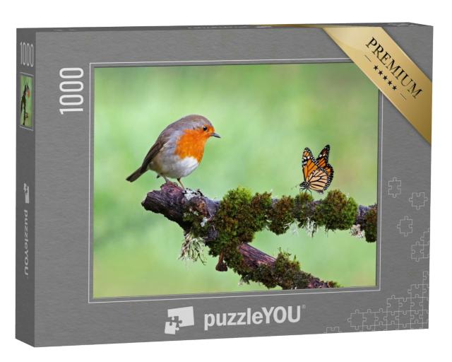 Puzzle 1000 Teile „Rotkehlchen und Schmetterling“