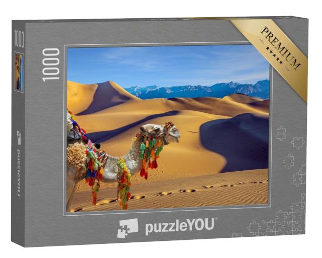Puzzle 1000 Teile „Einhöckriges Kamel, Dromedar“