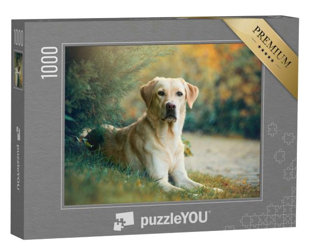 Puzzle 1000 Teile „Labrador Retriever Hund unter einem Baum“