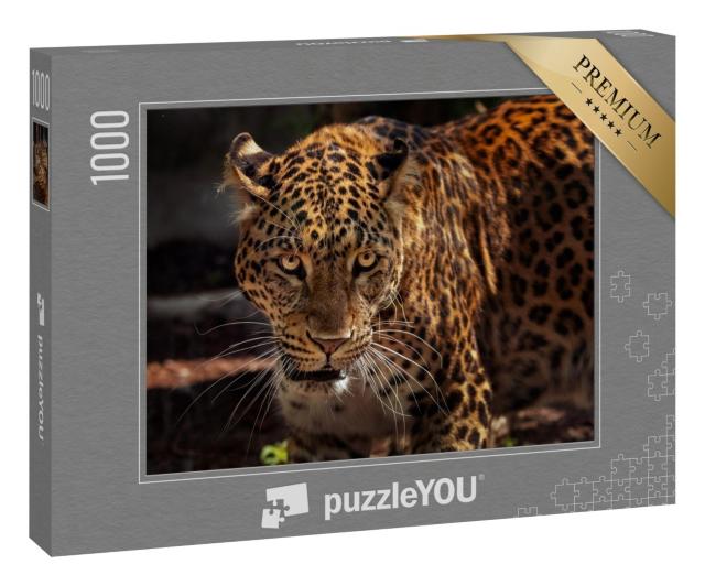 Puzzle 1000 Teile „Bild eines starken Jaguars als Jäger“