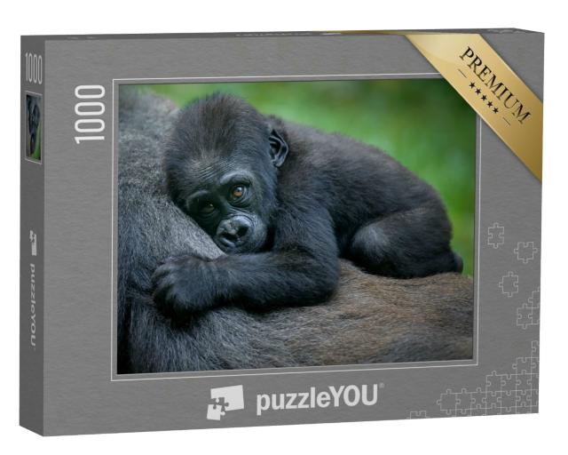 Puzzle 1000 Teile „Ein Gorillababy“