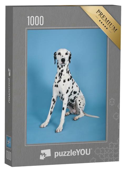 Puzzle 1000 Teile „Dalmatiner “