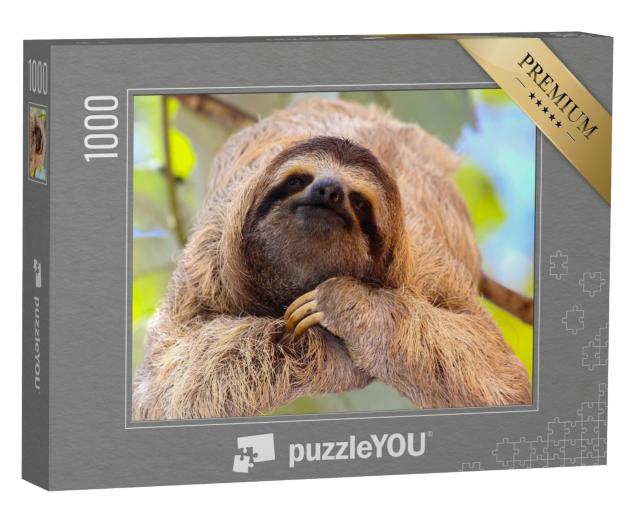 Puzzle 1000 Teile „Zufriedenes Faultier“