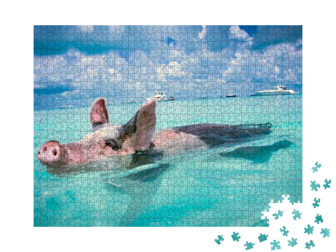 Puzzle 1000 Teile „Die schwimmenden Schweine der Bahamas“