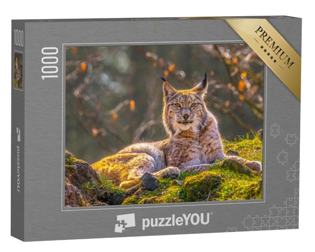 Puzzle 1000 Teile „Junger Luchs in der Wildnis des Waldes“