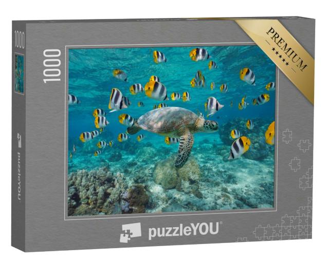 Puzzle 1000 Teile „Meeresschildkröte mit einem Schwarm tropischer Fische, Polynesien“