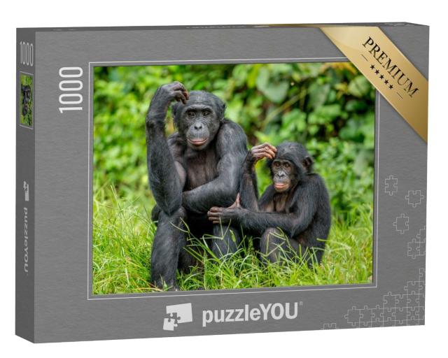 Puzzle 1000 Teile „Weiblicher Bonobo mit einem Baby im Kongo, Afrika“