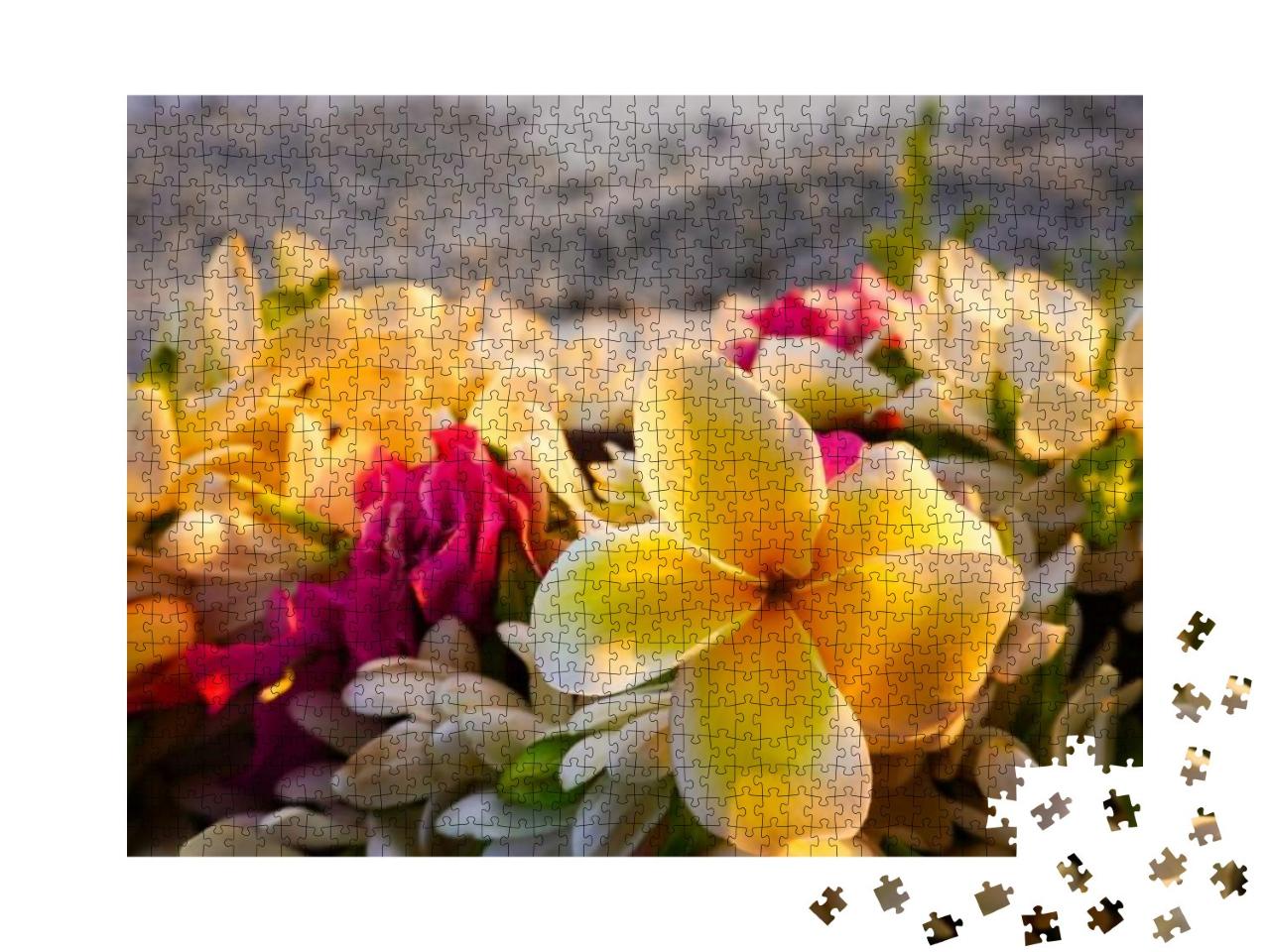 Puzzle 1000 Teile „Exotische Blüten“