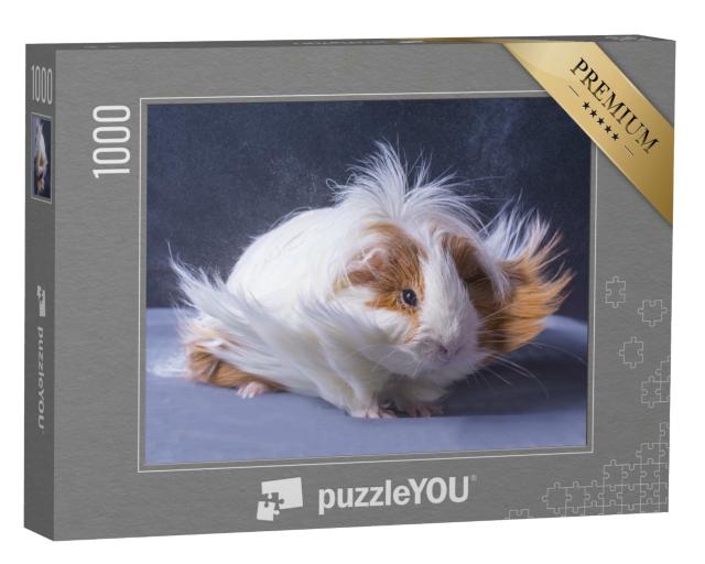 Puzzle 1000 Teile „Meerschweinchen mit langer Haarpracht“