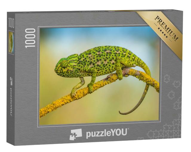 Puzzle 1000 Teile „Gewöhnliches Chamäleon“