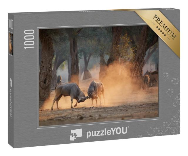 Puzzle 1000 Teile „Elandantilope, Taurotragus Oryx,  Simbabwe“