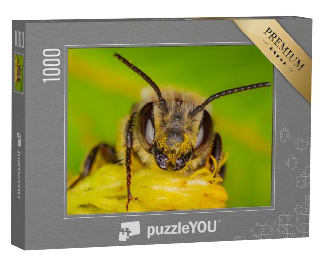 Puzzle 1000 Teile „Eine Wildbiene sammelt Pollen, Quebec, Kanada“