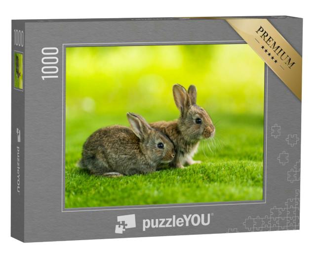 Puzzle 1000 Teile „Zwei kleine Kaninchen auf der grünen Wiese“