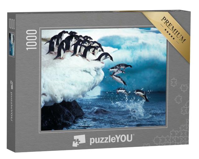 Puzzle 1000 Teile „Ein Adeliepinguin springt ins Meer, Antarktis“