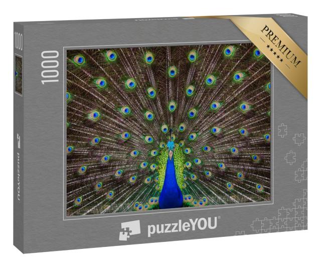 Puzzle 1000 Teile „Porträt eines Pfaus mit ausgefahrenen Federn“