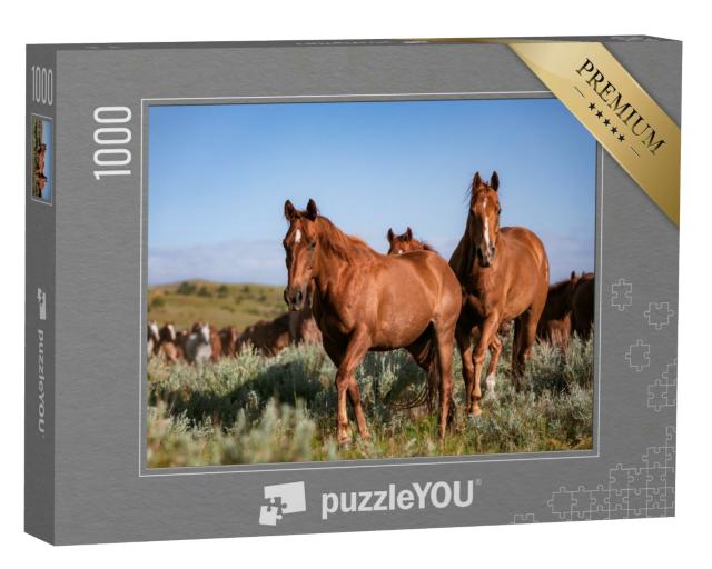 Puzzle 1000 Teile „Herde amerikanischer Quarter Horse Ranch Pferde, Montana“
