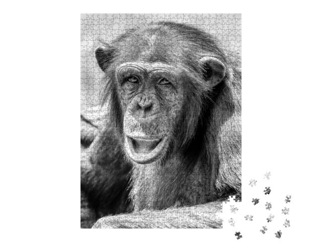 Puzzle 1000 Teile „Afrikanischer Schimpanse “