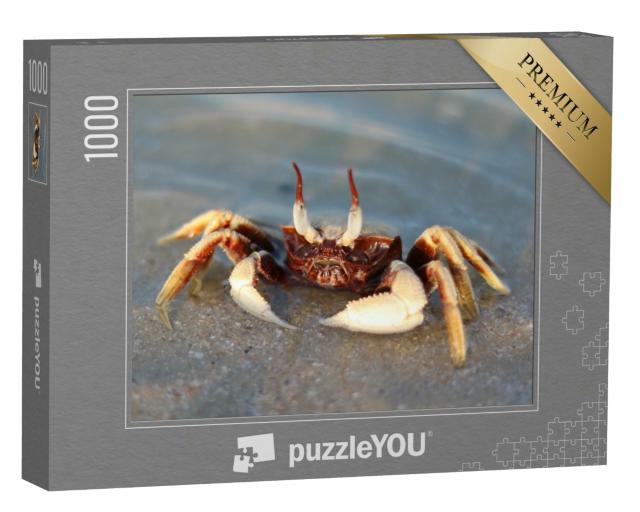 Puzzle 1000 Teile „Geisteraugenkrabbe im Meer“