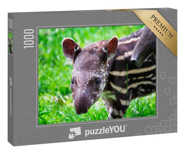Puzzle 1000 Teile „Neun Tage alter Tapir im grünen Gras“