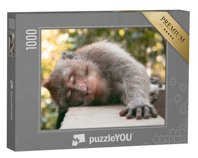 Puzzle 1000 Teile „Langschwänziger balinesischer Affe schläft auf dem Bürgersteig“