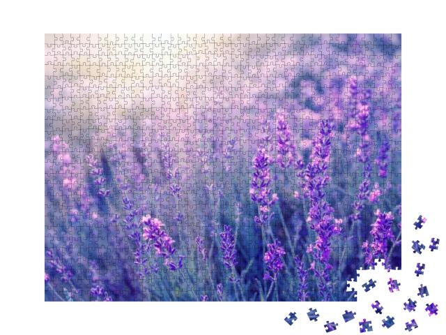 Puzzle 1000 Teile „Duftender Lavendel im Sonnenuntergang, Region Provence, Frankreich“