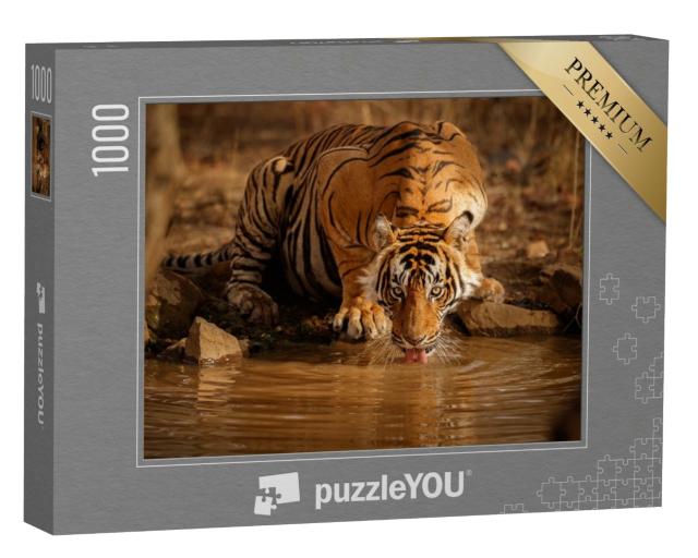 Puzzle 1000 Teile „Tiger in der Natur: Tigermännchen trinkt Wasser in Rajasthan, Indien“
