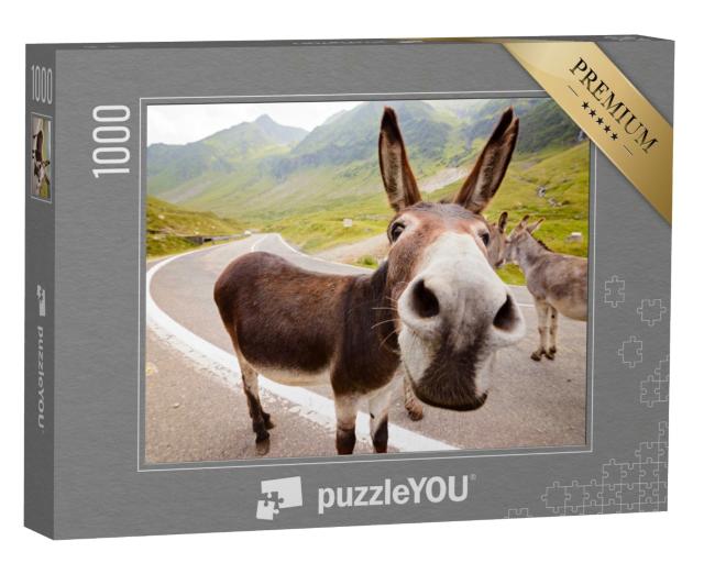 Puzzle 1000 Teile „Lustiger Esel in den rumänischen Bergen“