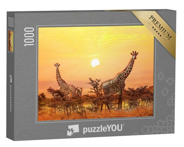 Puzzle 1000 Teile „Majestätische Giraffen im Sonnenuntergang“