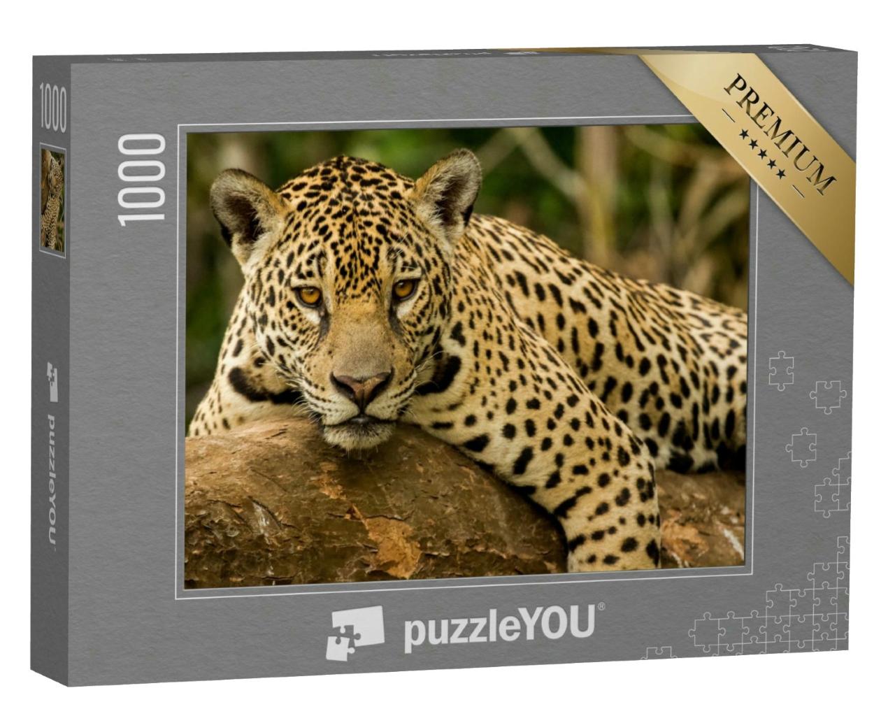 Puzzle 1000 Teile „Der Jaguar“