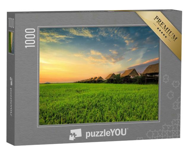 Puzzle 1000 Teile „Sonnenuntergang am Reisfeld in Siem Reap“