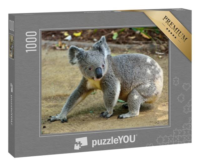 Puzzle 1000 Teile „Nahaufnahme eines Koalas“