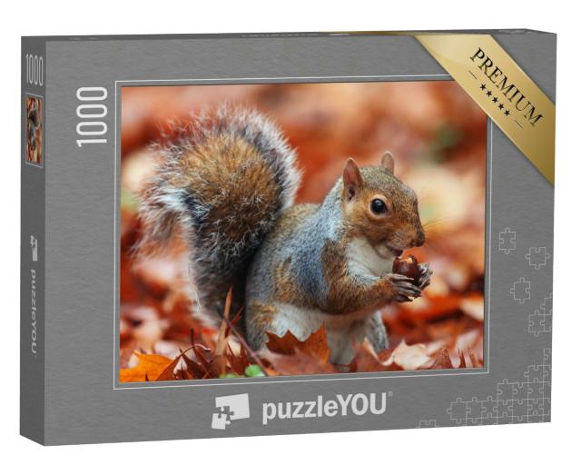 Puzzle 1000 Teile „Eichhörnchen im Herbst mit Eichel“
