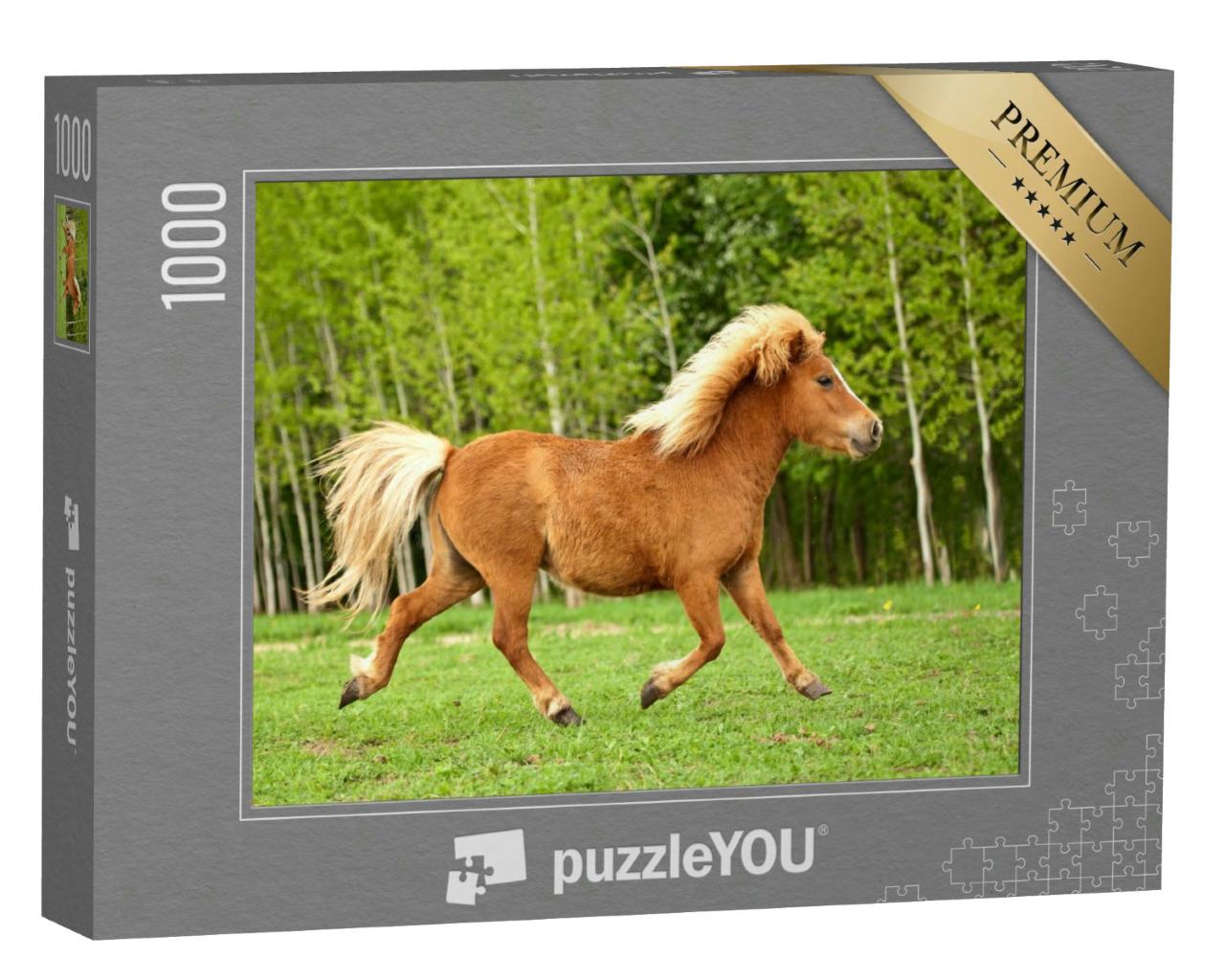 Puzzle 1000 Teile „Pony im Trab auf einer Sommerwiese“