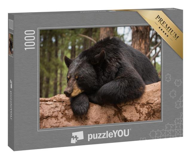 Puzzle 1000 Teile „Ein Bär auf einem Baumstamm“