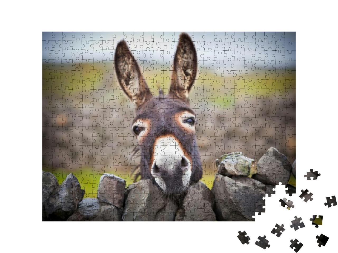 Puzzle 500 Teile „Ein neugieriger Esel“