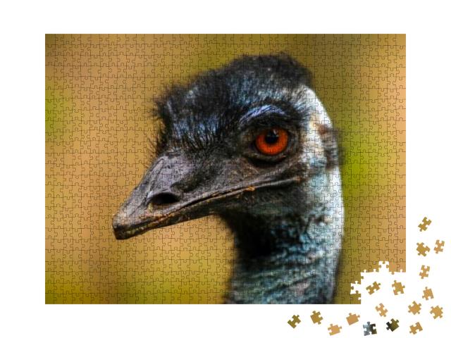 Puzzle 1000 Teile „Nahaufnahme eines Emus mit Schnabel und Kopf“