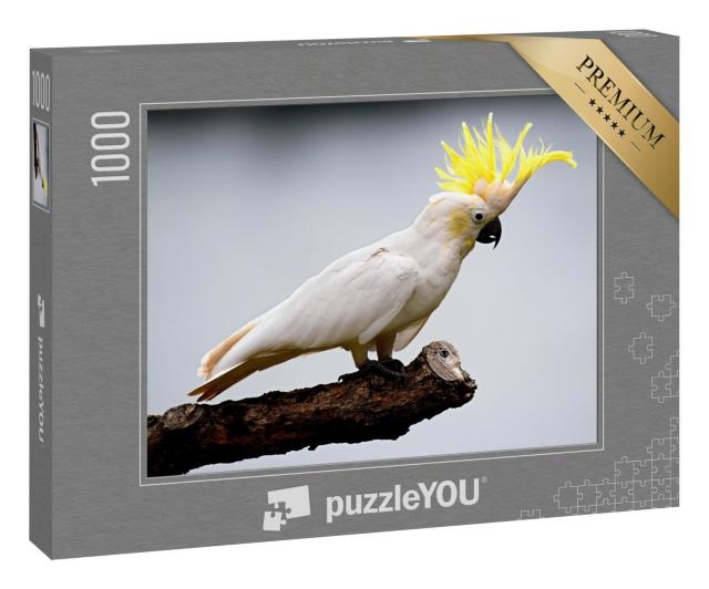 Puzzle 1000 Teile „Kakadu“