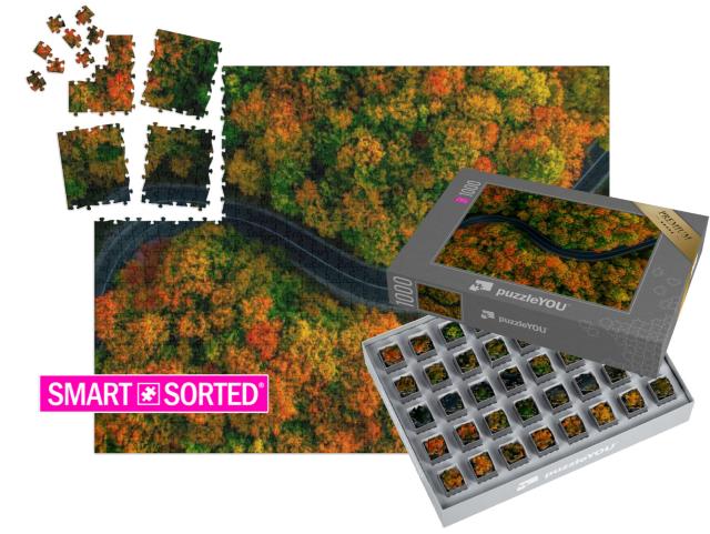 SMART SORTED® | Puzzle 1000 Teile „Vogelperspektive: Gewundene Straße im dichten Herbstwald“