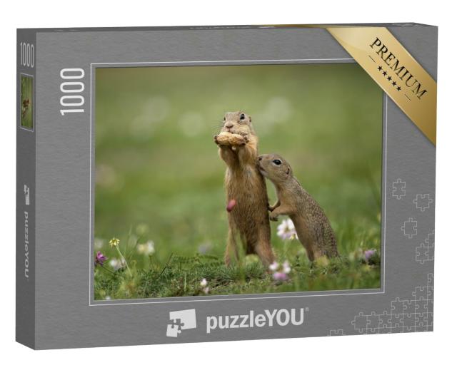 Puzzle 1000 Teile „Erdhörnchen in der Nähe auf einer Sommerwiese mit Gras“
