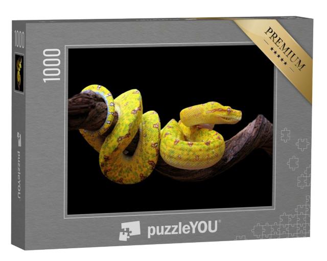 Puzzle 1000 Teile „Gelbe Baumpython, verschlungen auf einem Ast“