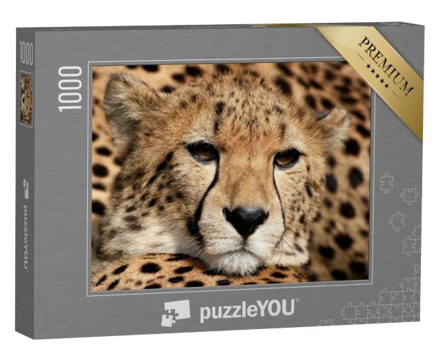 Puzzle 1000 Teile „Porträt eines Geparden“