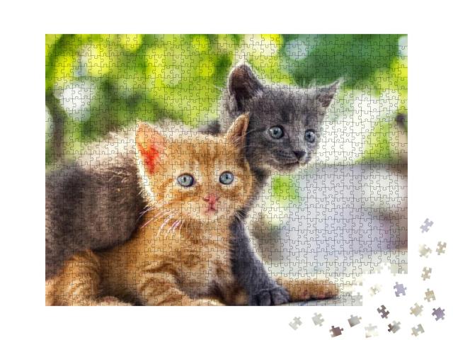 Puzzle 1000 Teile „Zwei bezaubernde Kätzchen spielen“