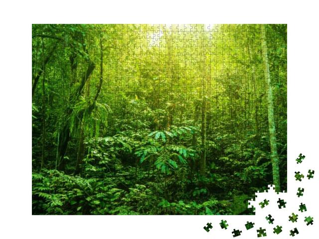 Puzzle 1000 Teile „Tropischer Wald mit seiner grünen Vielfalt“