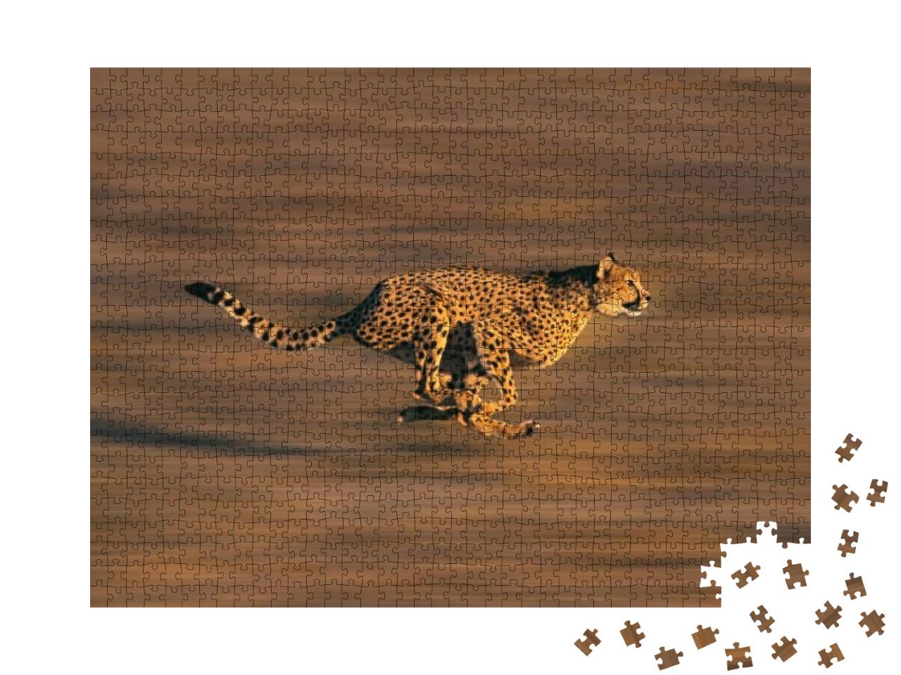 Puzzle 1000 Teile „Gepard in vollem Lauf“