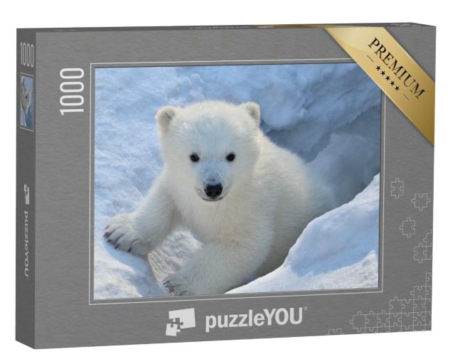 Puzzle 1000 Teile „Porträt eines weißen Bären“