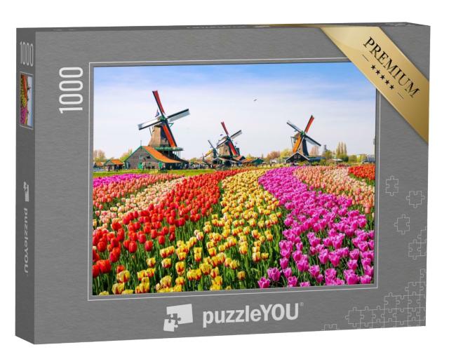 Puzzle 1000 Teile „Tulpen und Windmühlen in Zaanse Schans, Niederlande“