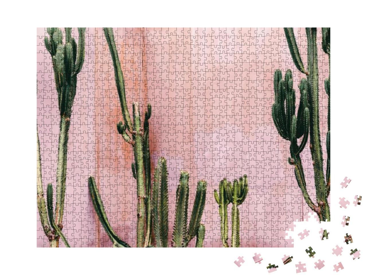 Puzzle 1000 Teile „Kakteen vor einer rosa Wand“