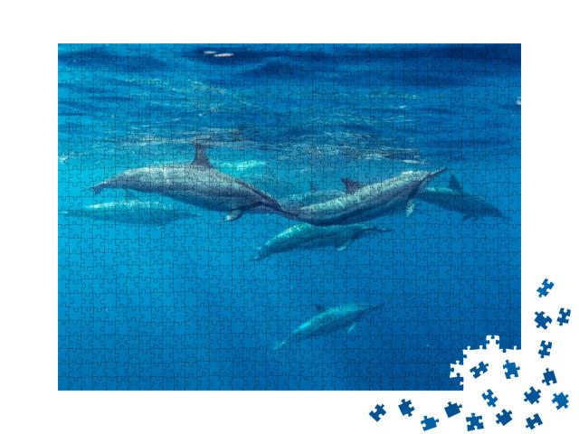 Puzzle 1000 Teile „Spinnerdelfine, Mauritius, Indischer Ozean“